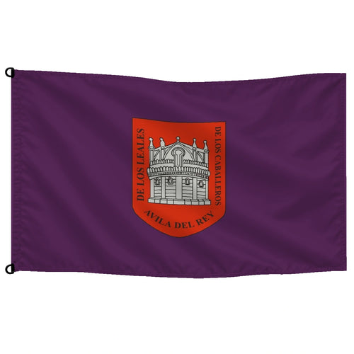 Bandera de Ávila de despacho · Banderiva