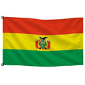 Bandera de Bolivia de despacho — con escudo · Banderiva