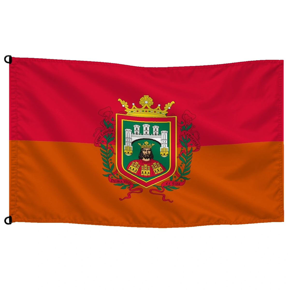Bandera de Burgos
