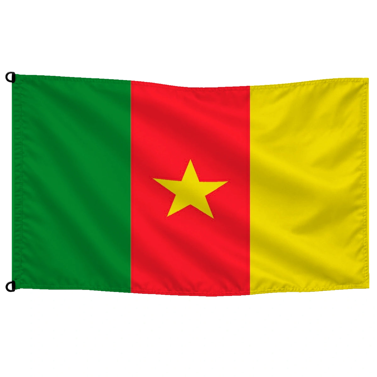 Bandera de Camerún — con escudo