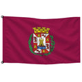 Bandera de Cartagena de despacho · Banderiva