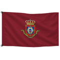 Bandera de Ciudad Real de despacho · Banderiva