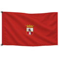 Bandera de Dos Hermanas de despacho · Banderiva
