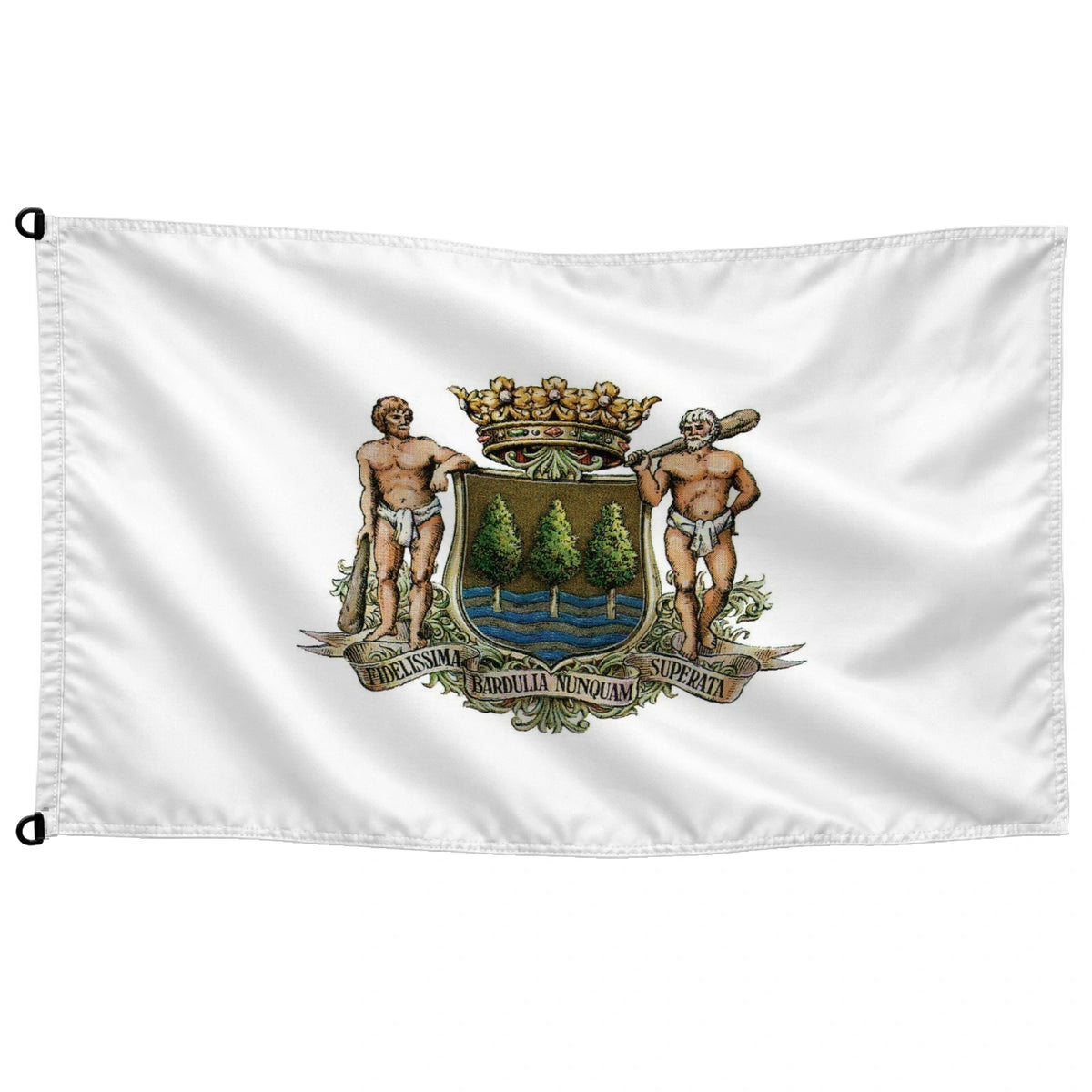 Bandera de Gipuzkoa