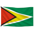 Bandera de Guyana de despacho — con escudo · Banderiva