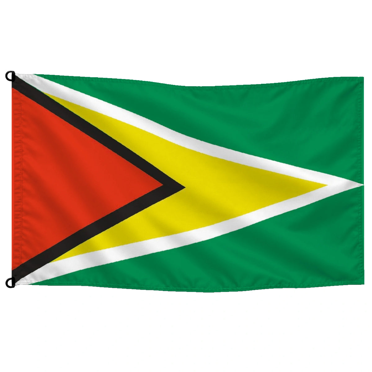Bandera de Guyana — con escudo