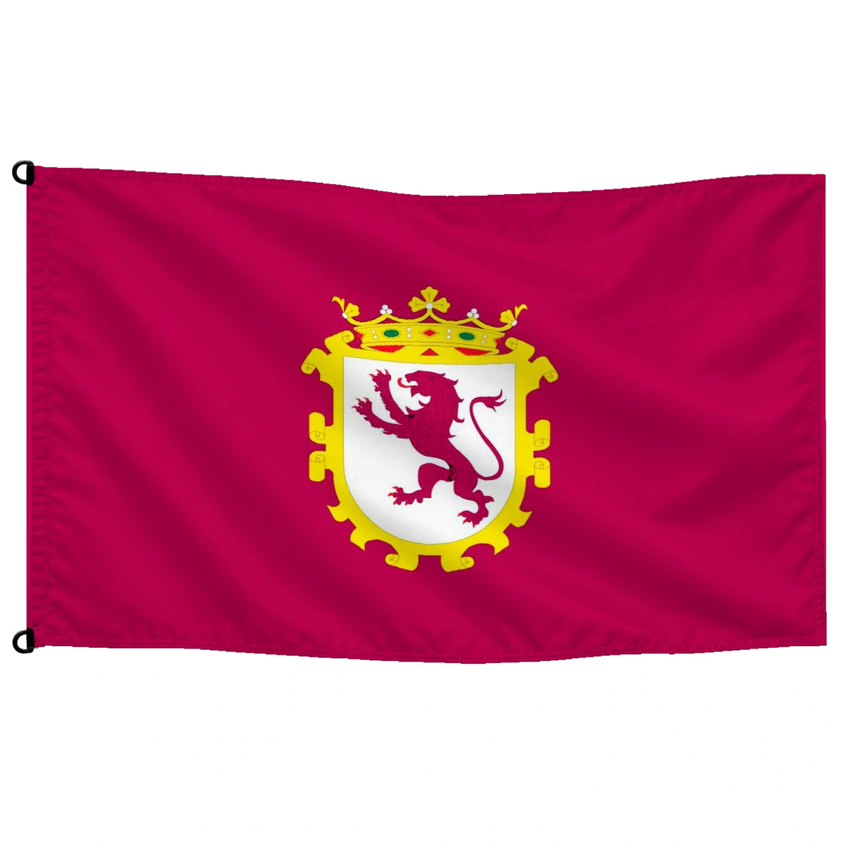 Bandera de León