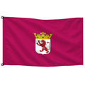 Bandera de despacho de León provincia · Banderiva