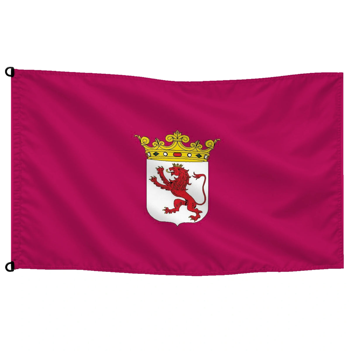 Bandera de León provincia