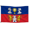 Bandera de despacho de Lugo provincia · Banderiva