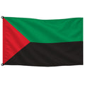 Bandera de Martinica de despacho · Banderiva