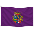 Bandera de despacho de Palencia provincia · Banderiva