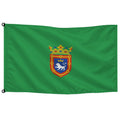 Bandera de Pamplona/Iruña de despacho · Banderiva