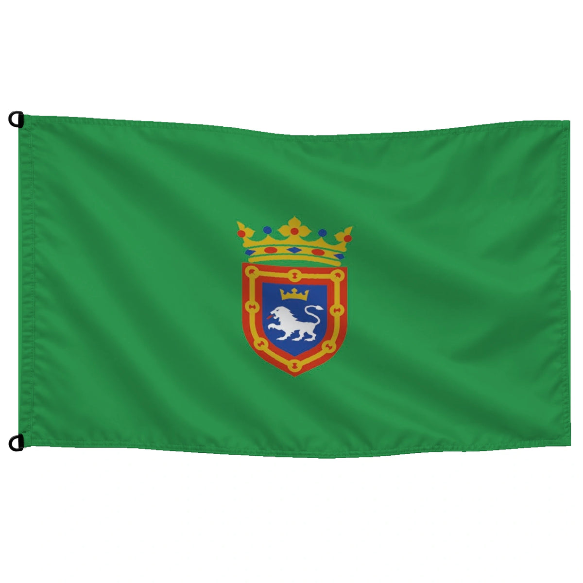 Bandera de Pamplona/Iruña