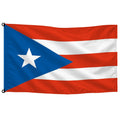 Bandera de Puerto Rico de despacho — con escudo · Banderiva