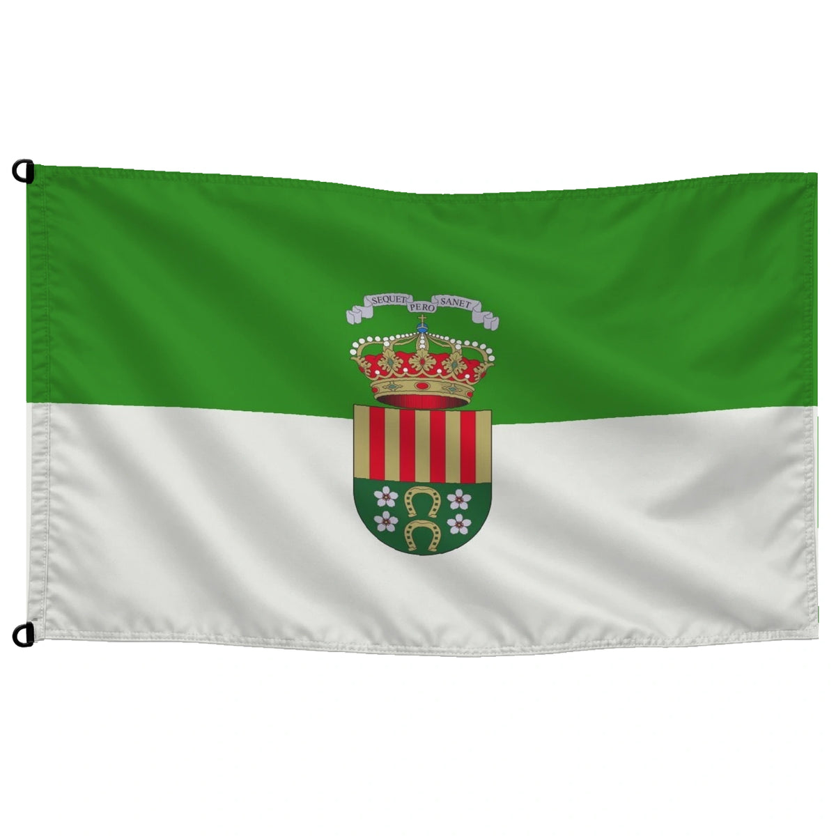 Bandera de Sant Vicent del Raspeig/San Vicente del Raspeig