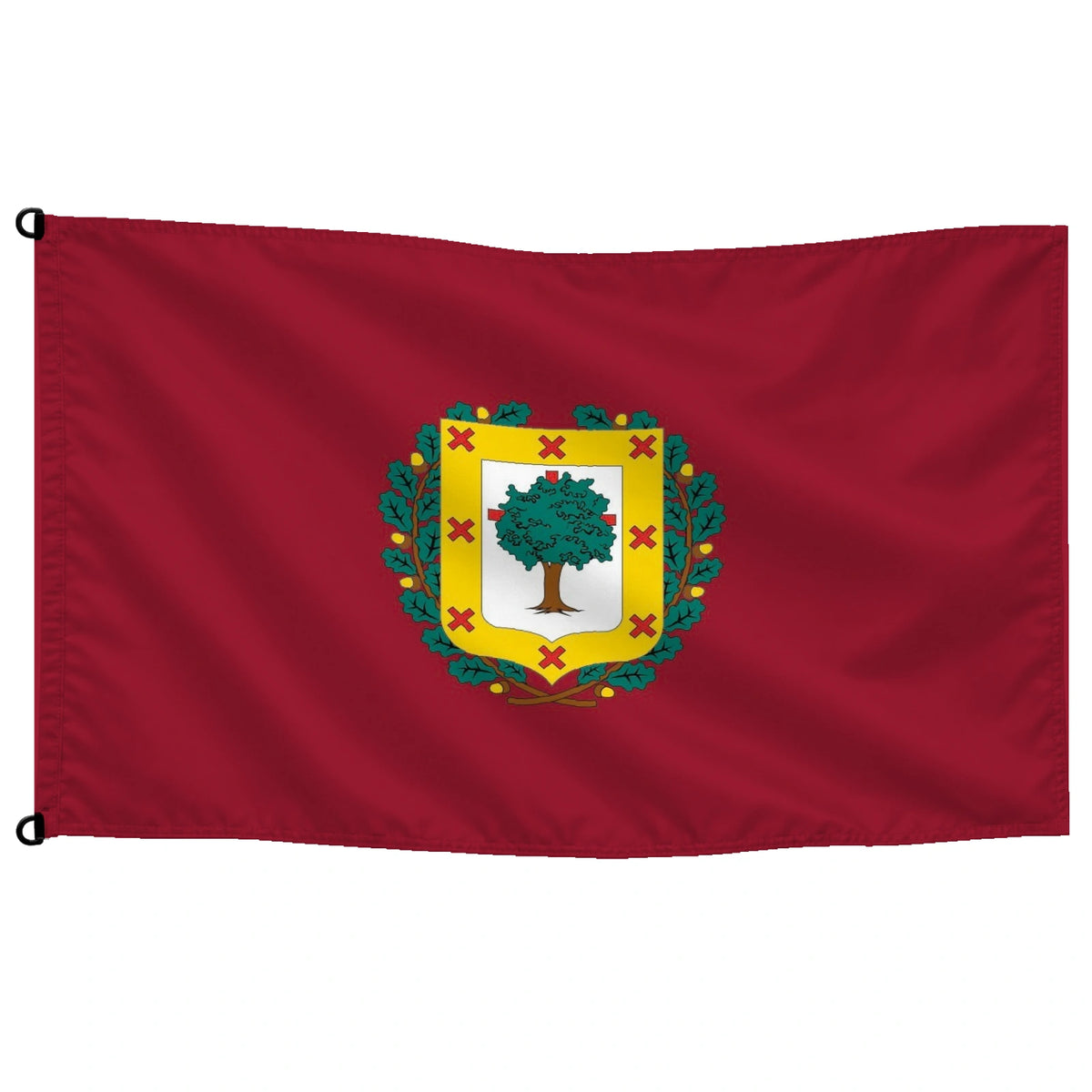 Bandera de Vizcaya diputación