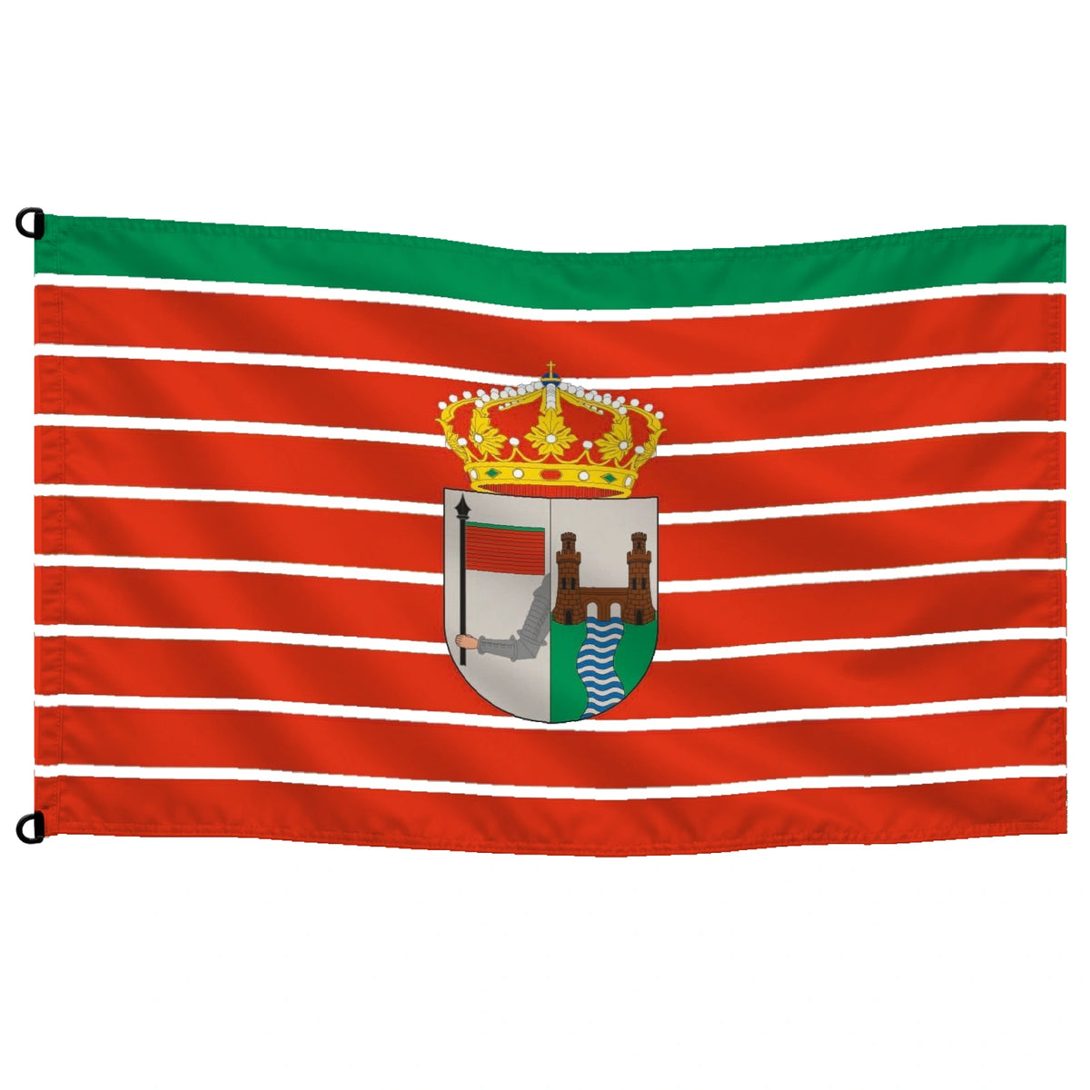 Bandera de Zamora — con escudo