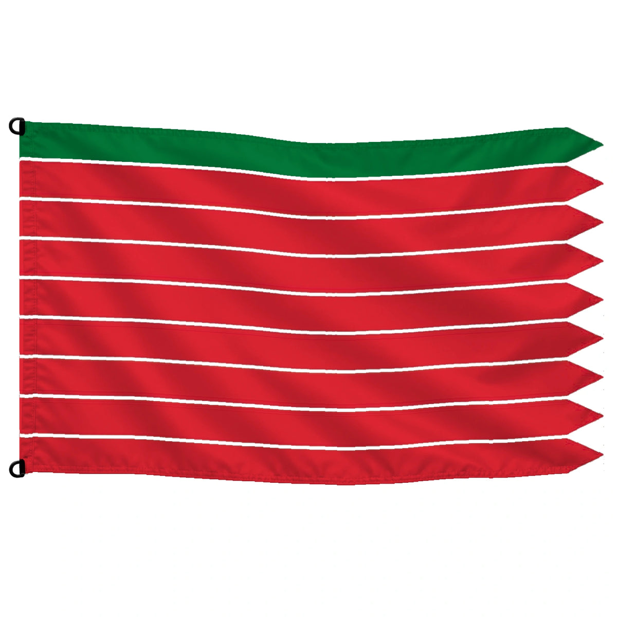 Bandera de Zamora provincia sin escudo