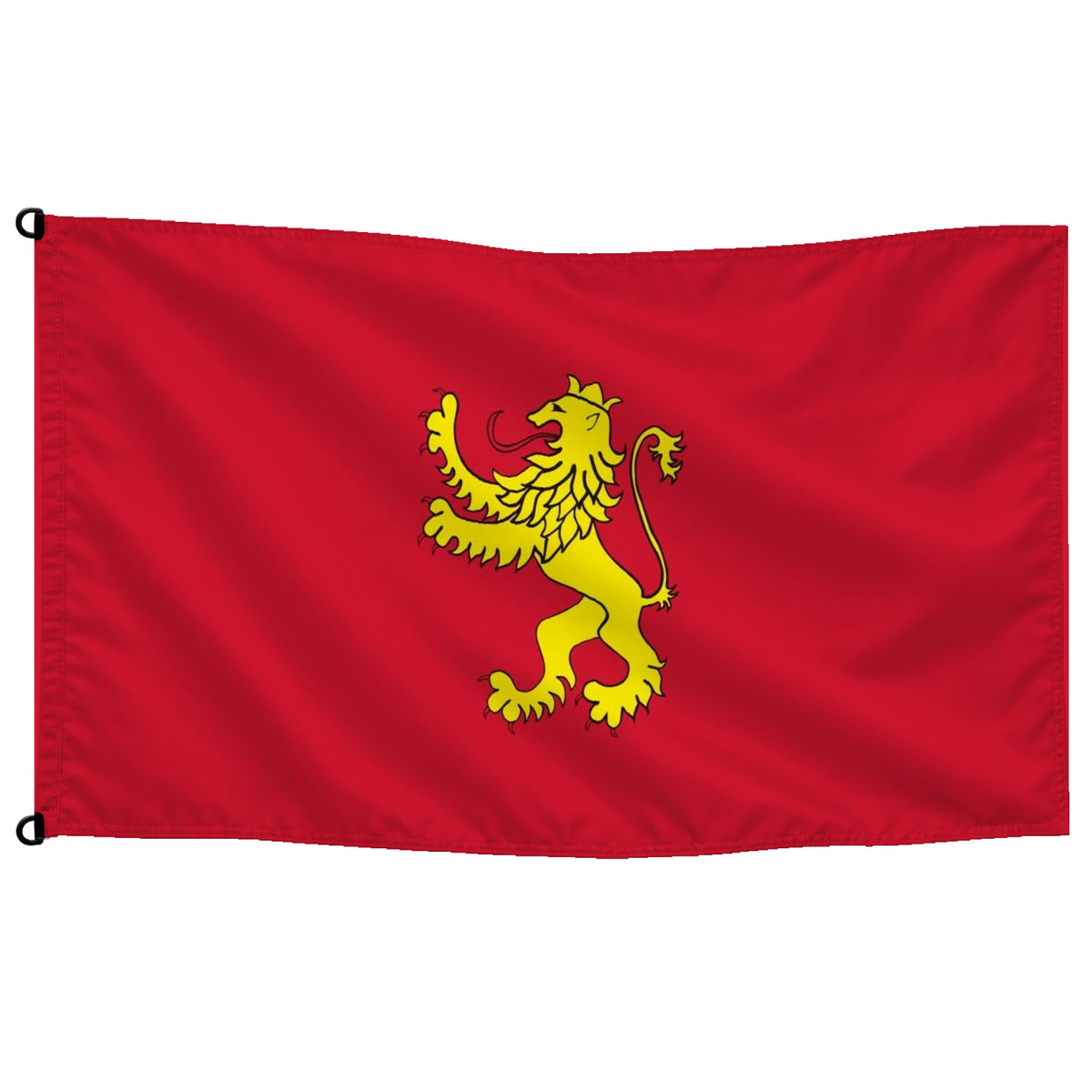 Bandera de Zaragoza