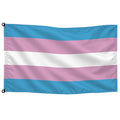 Bandera de mesa transexual · Banderiva