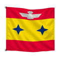 Insignia General División del Aire · Banderiva
